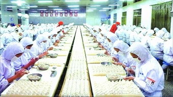 河南产速冻食品首次登陆非洲市场，开拓饮食文化交流新通道